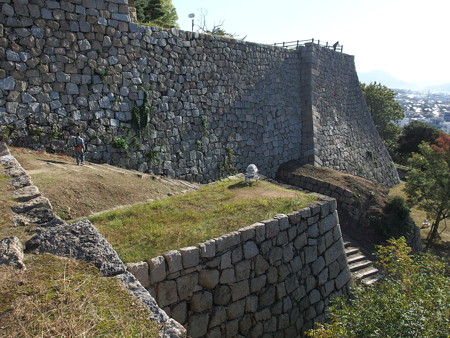PA246525