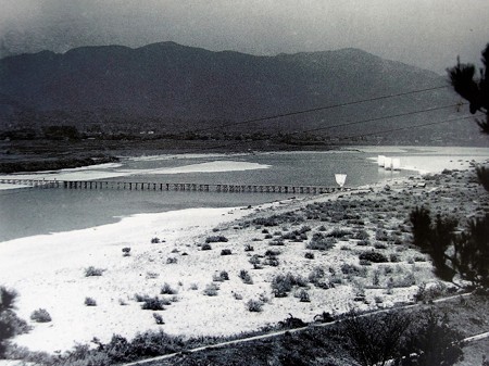 PA256619