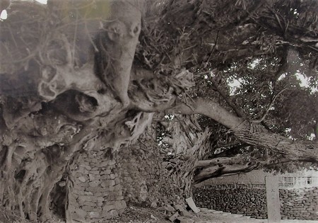 PA266788