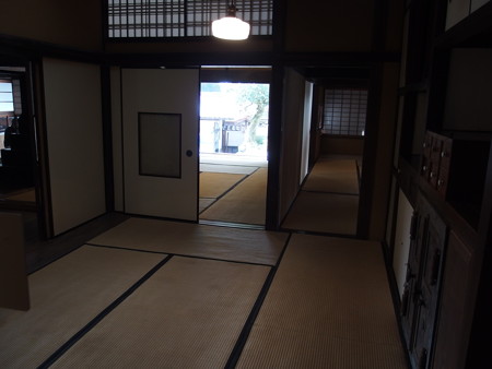 PB067516