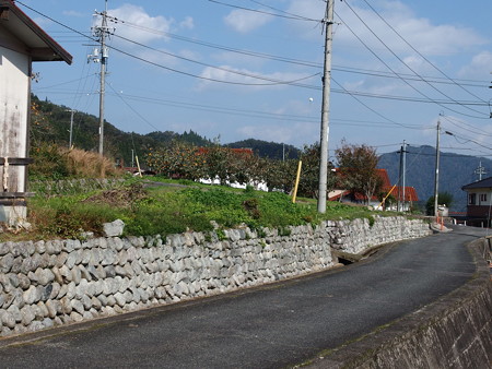 PB047039