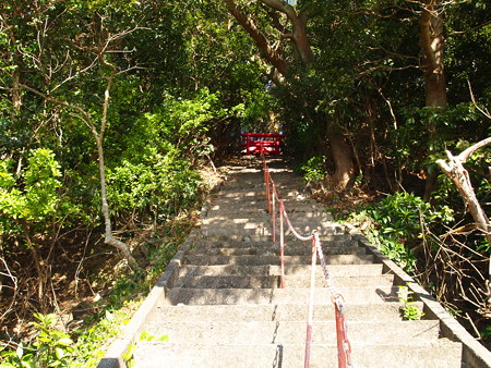 P1150053
