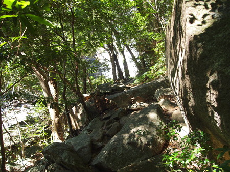 P1260124