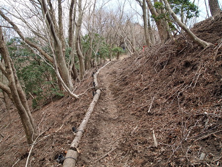 P3080411