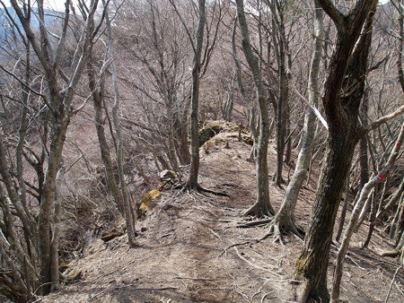 P3080412