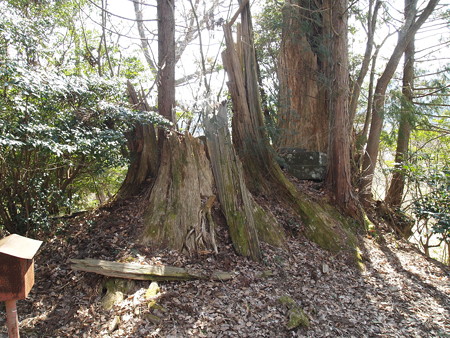 P3120507