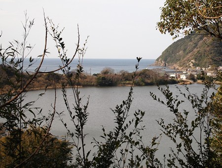 P3190684