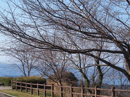 P3284465
