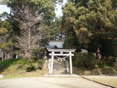 P3300841