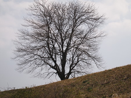 P3300896