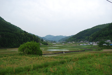 DSC_0817 DSC_0817