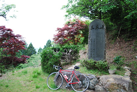 DSC_0828 DSC_0828
