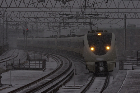 IMGP7352