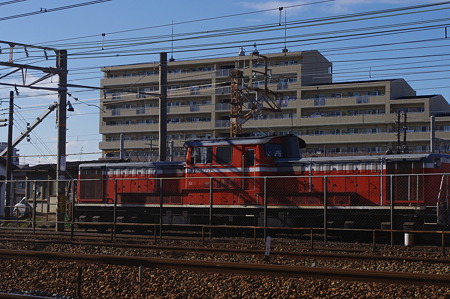 IMGP7782