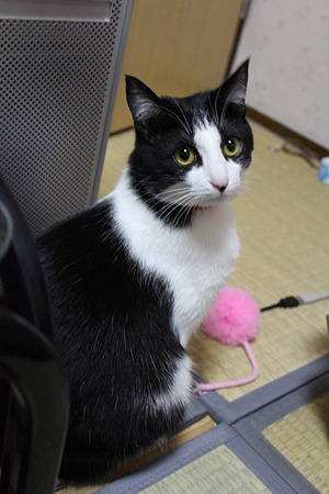 ふりむき6