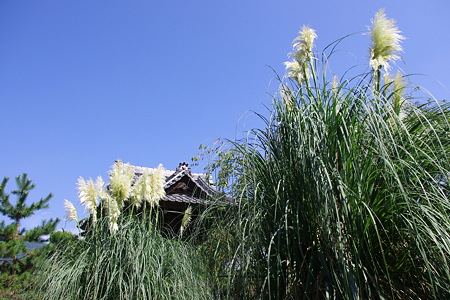 道光寺の鐘楼
