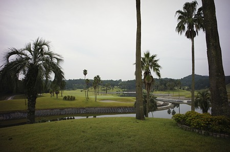 DSC05006