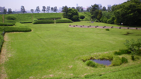 IMGP5008
