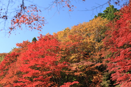 _MG_7633.JPG