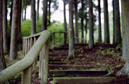 Image1329（YASHICA FRI）