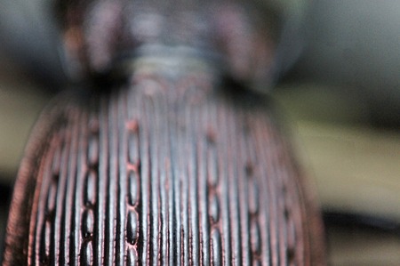 _DSC0401