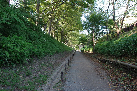 IMGP5135