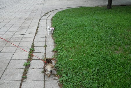 DSCN3332