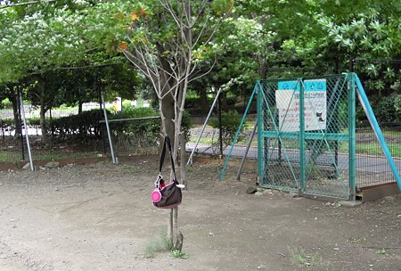 DSCN3347