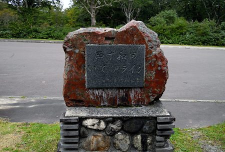 DSCN4551