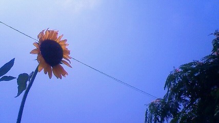 201007251236000