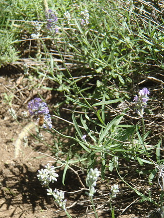 P6020734