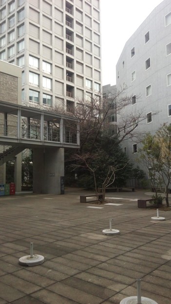 早大戸山キャンパス