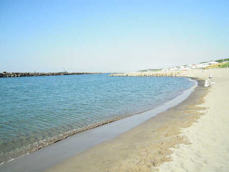 海