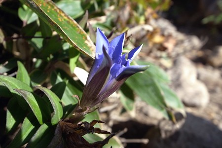 RIMG0284