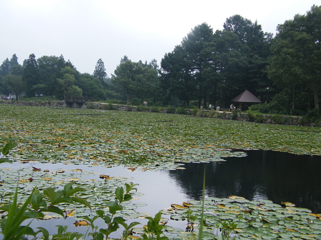 Photos: 妙高いもり池