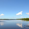 Low Tide 10-18-16