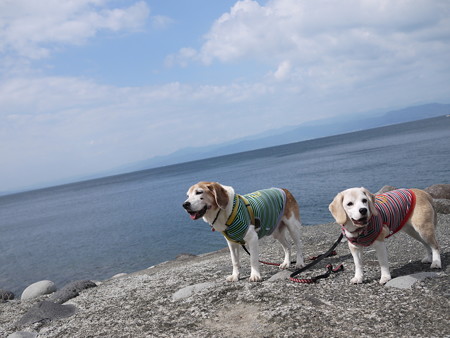 駿河湾どーん!富士山がみえなーい!