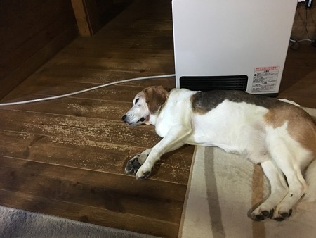 ストーブの前であぶなーい!(って火、ついてないのでご安心を)