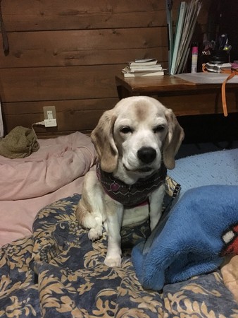 先ほどのうみちゃん、まだ目が弱いよね