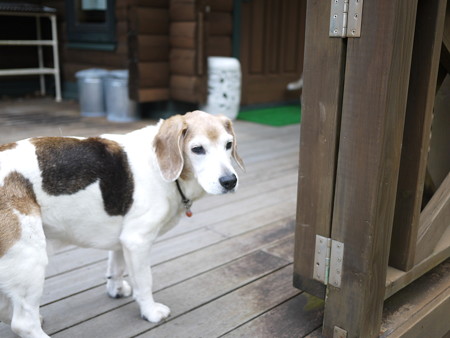 僕の奥さん、お腹を壊したから冷えたくないんだってさ