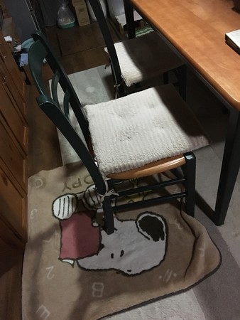 あちゃ!椅子しまい込んでない!(汗)