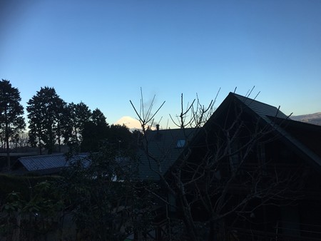 今日母に送った写真はこちらなのですが、、、