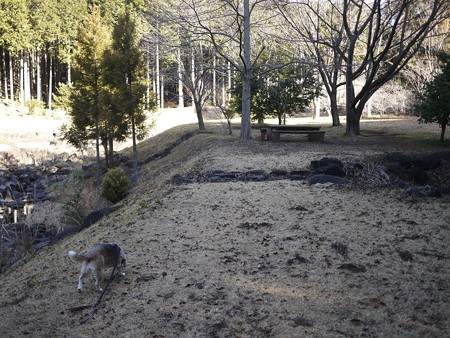 油断するととっとと行ってしまううみ姫