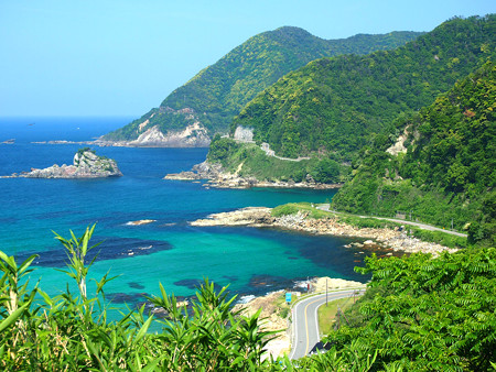 竹野
