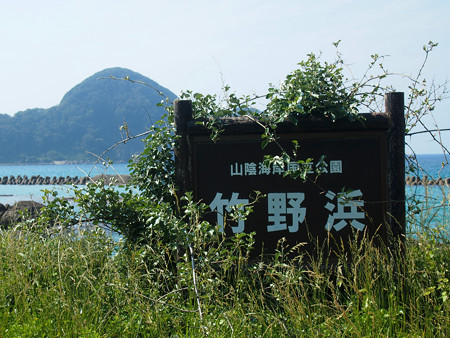 竹野