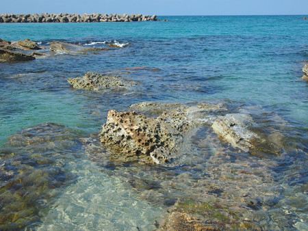竹野浜