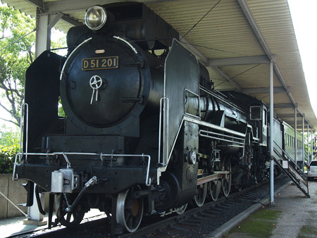 D51 201