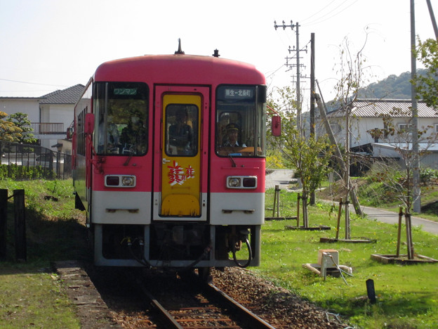 網引駅