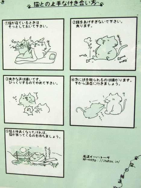 猫の細道