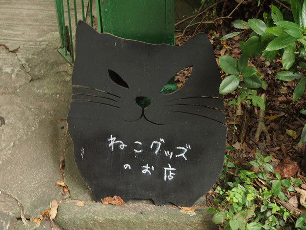 猫の細道